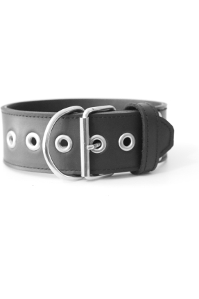 Puppy play choker