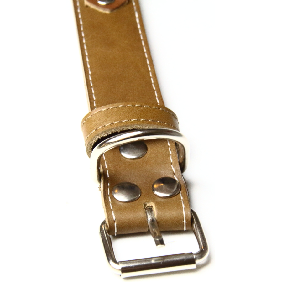 Pet Play Collar “Sigma”