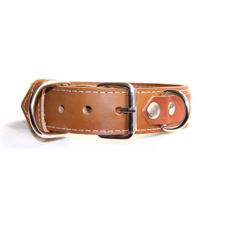 Pet play collar “sigma”
