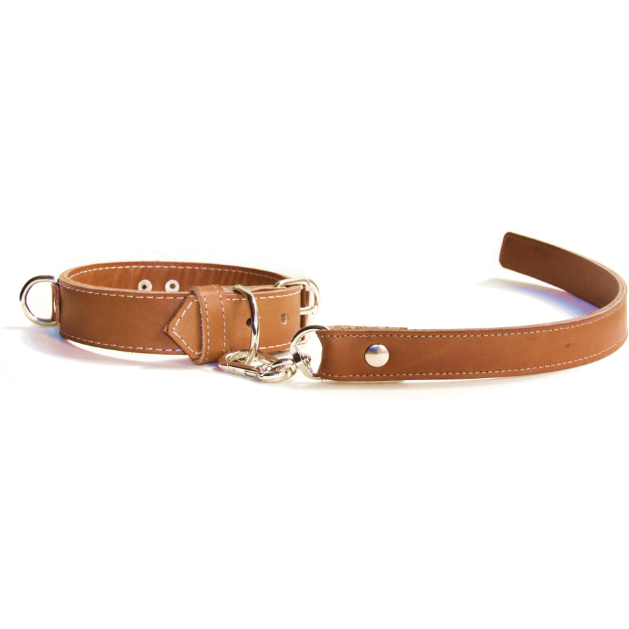 Pet Play Collar “Sigma”