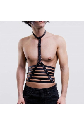 Cage harness