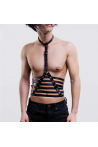 Cage harness