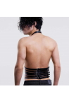 Cage Harness