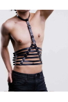 Cage Harness