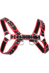 Bulldog Harness