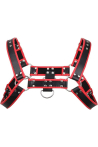 Bulldog harness