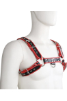 Bulldog Harness