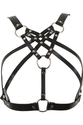 Body top harness