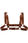 Ring h harness