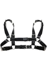Ring H Harness