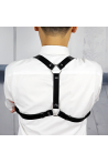 Shoulder Harness