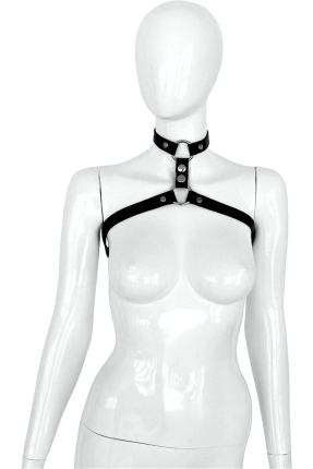 Chest & neck harness