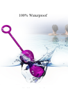 censan-foxshow-kegel-egzersiz-toplari-seti-1114434-1