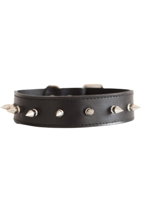 Simple spiked choker