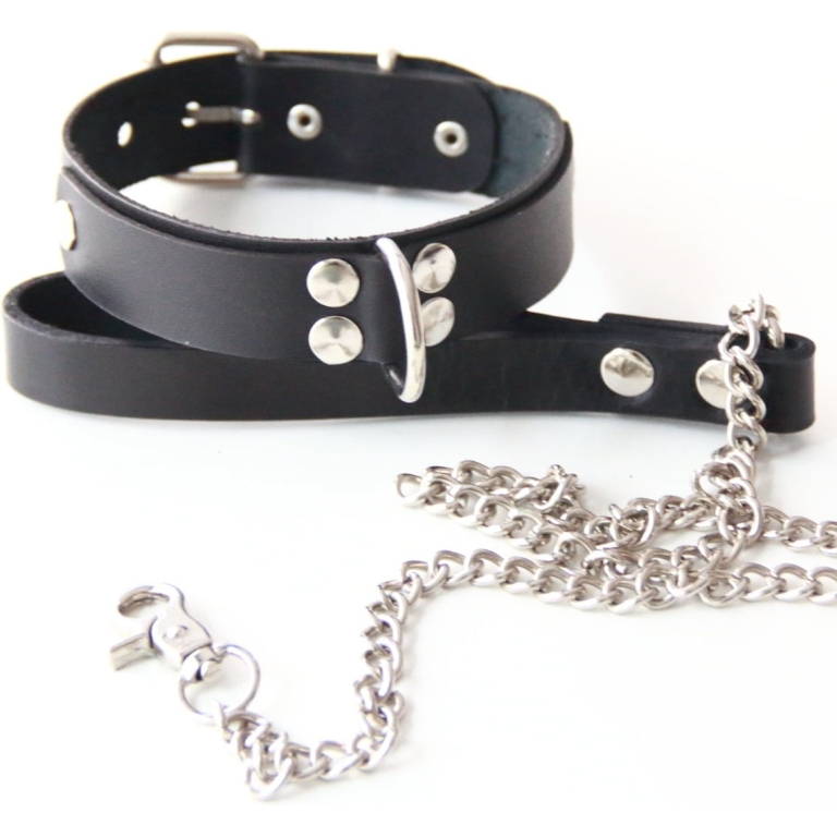 D Ring Owned Collar
