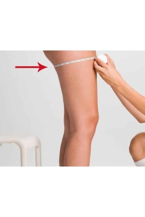 X Leg Harness