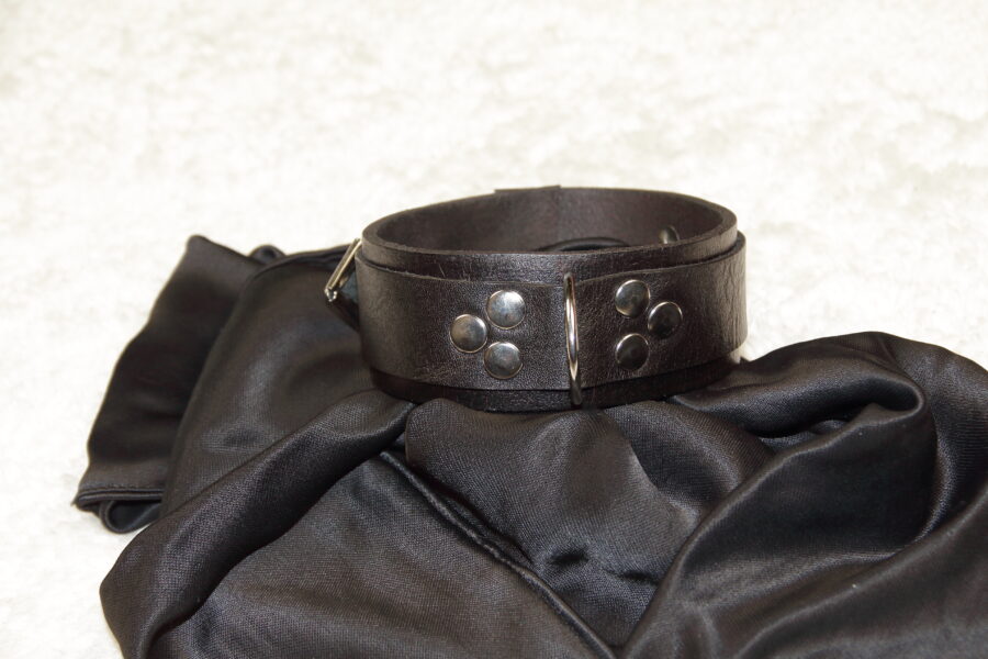 Professional Training Collar