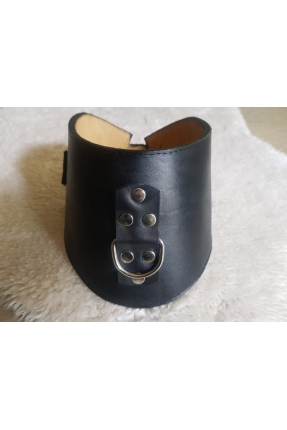 BDSM Training Posture Collar