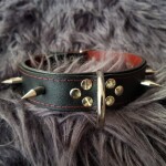 Slave Bulldog Collar