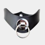 Curve O-Ring Collar