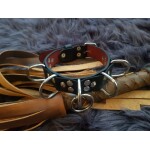 D Slave Collar