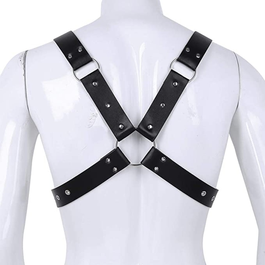 Harness