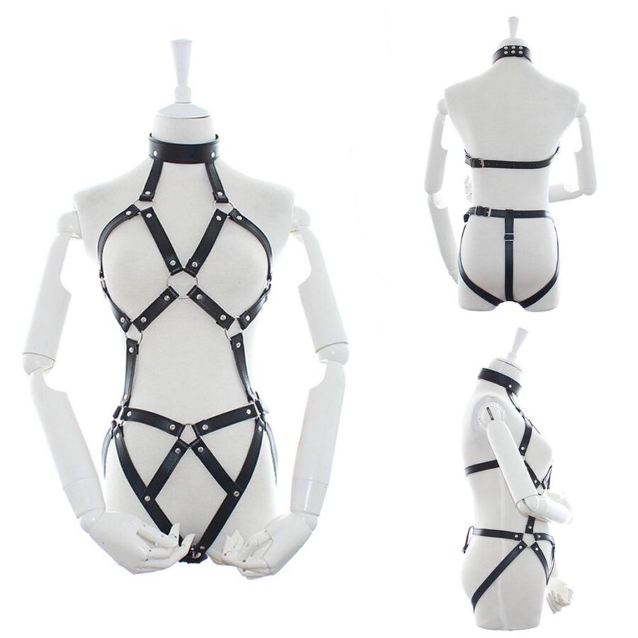 Full Body Harness