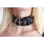 Puppy Play Collar