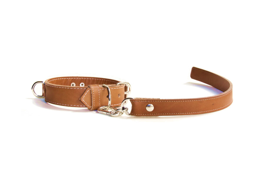 Pet Play Collar “Sigma”