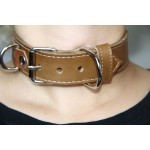 Pet Play Collar “Sigma”