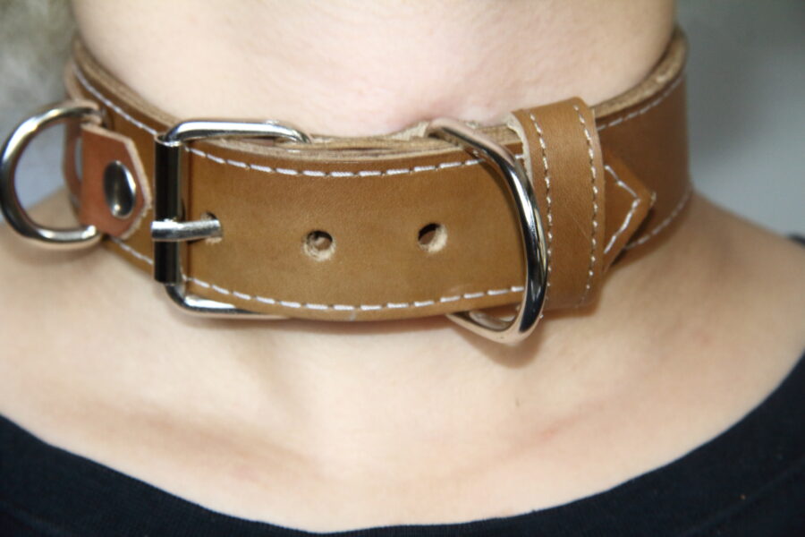 Pet Play Collar “Sigma”