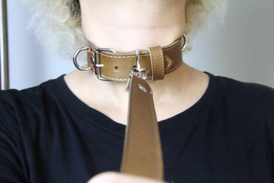 Pet Play Collar “Sigma”