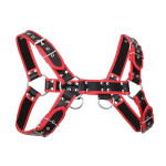 Bulldog Harness