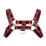 Bulldog Harness