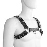 Bulldog Harness