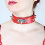 Spiked Training Collar