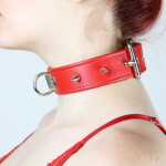 Spiked Training Collar