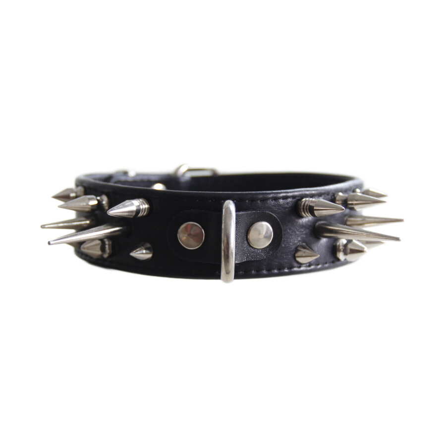 Mixed Spike Training Collar