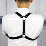 Shoulder Harness