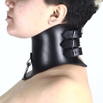 Mono Posture Collar