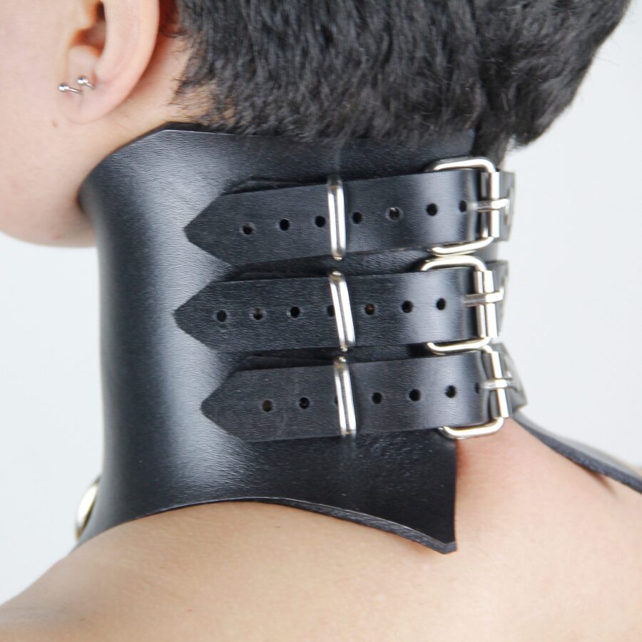 Mono Posture Collar