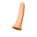 Toon Vantuzlu Realistik Dildo 20 cm