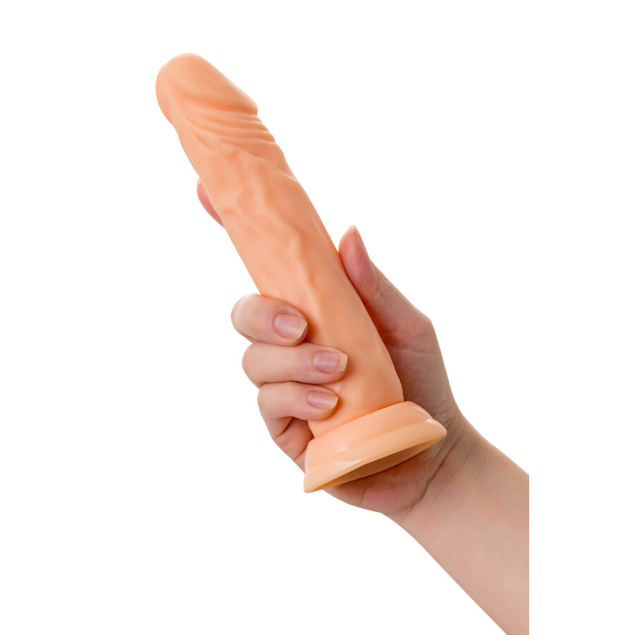 Toon Vantuzlu Realistik Dildo 20 cm