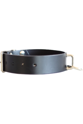 Daily Bridge Choker