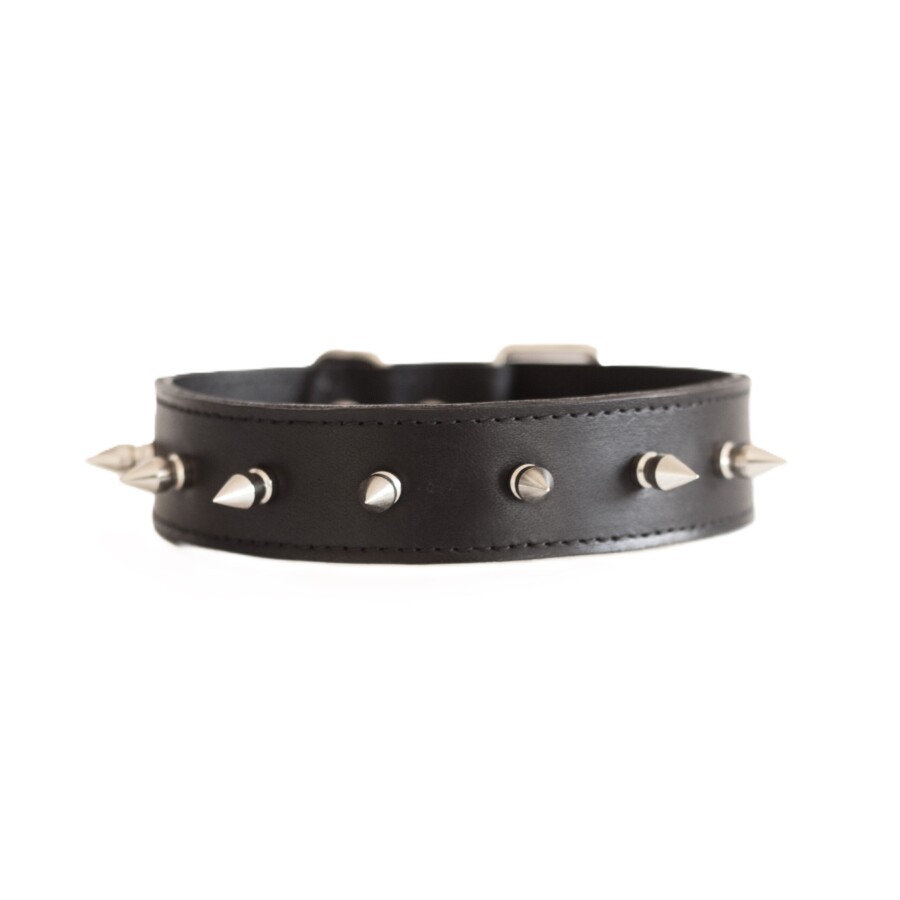 Spiked Basic Collar