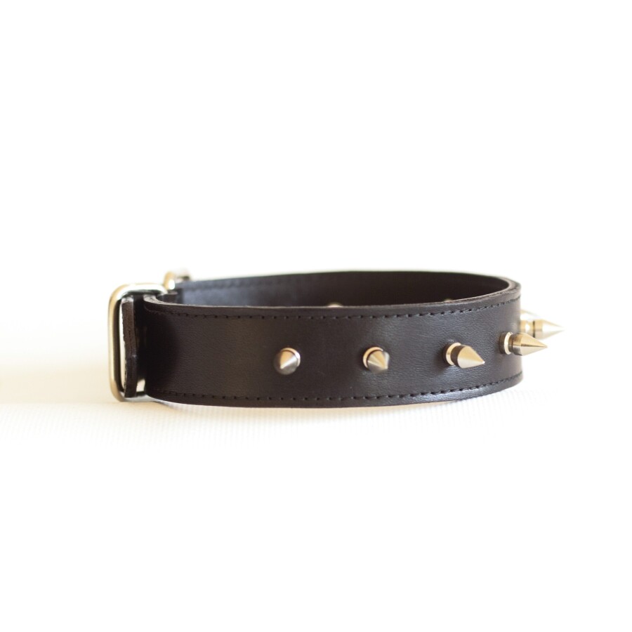 Spiked Basic Collar