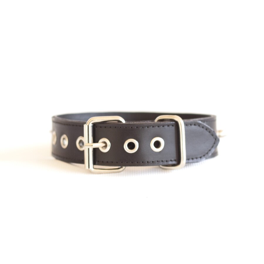 Spiked Basic Collar