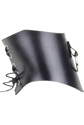 Mono BDSM Posture Collar