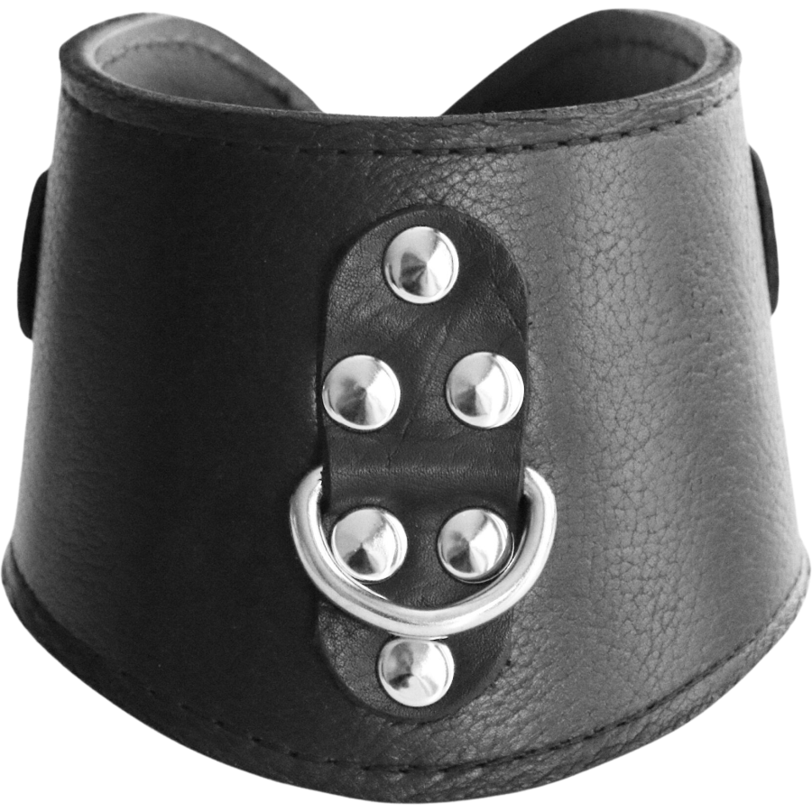 BDSM Training Posture Collar