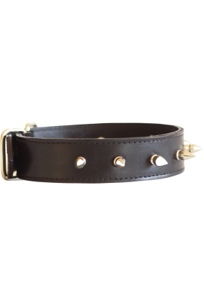 Simple Spiked Choker